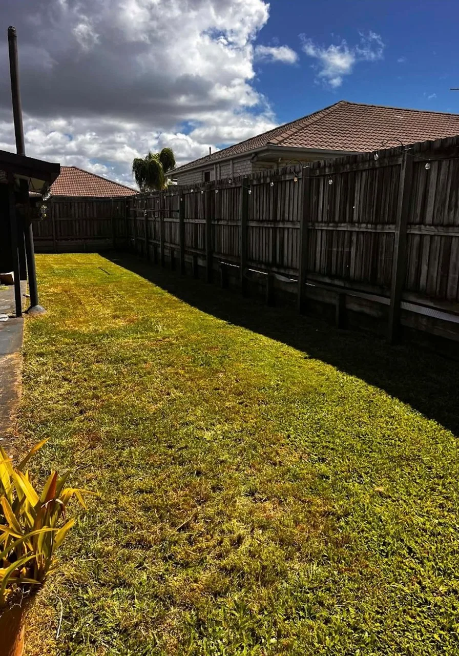 Garden and property area after a tidy up