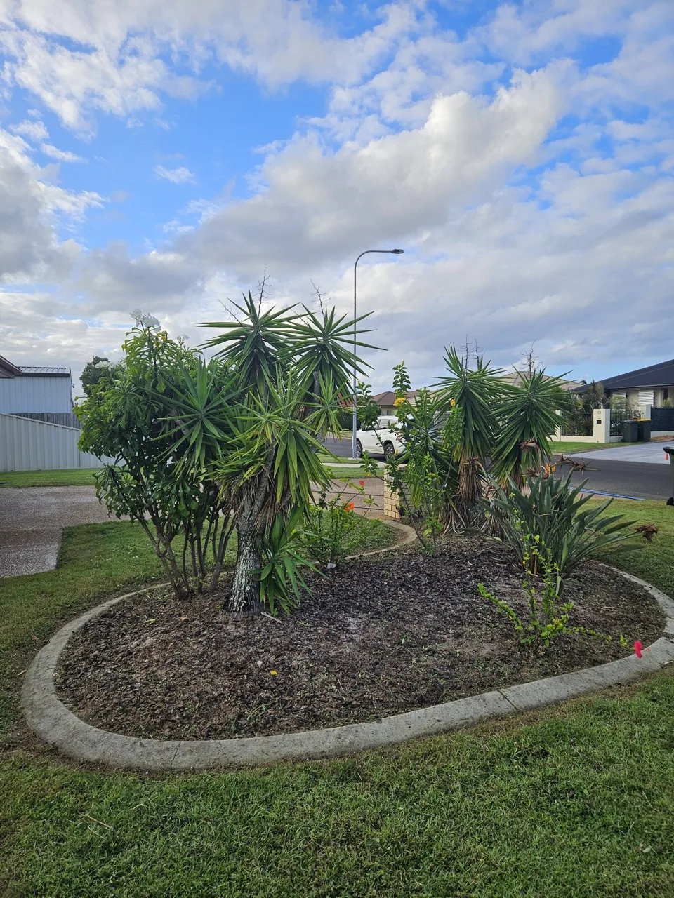 Garden after a Cut and Clear yard clean up