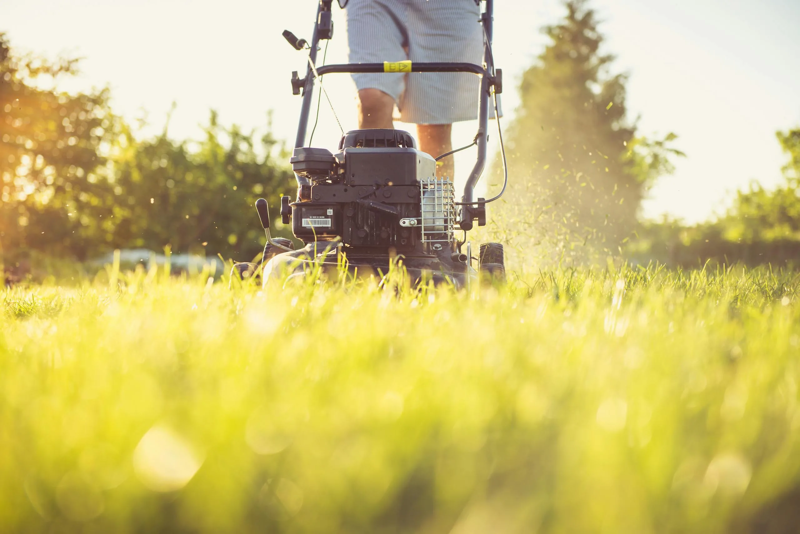 Lawn mowing service in progress