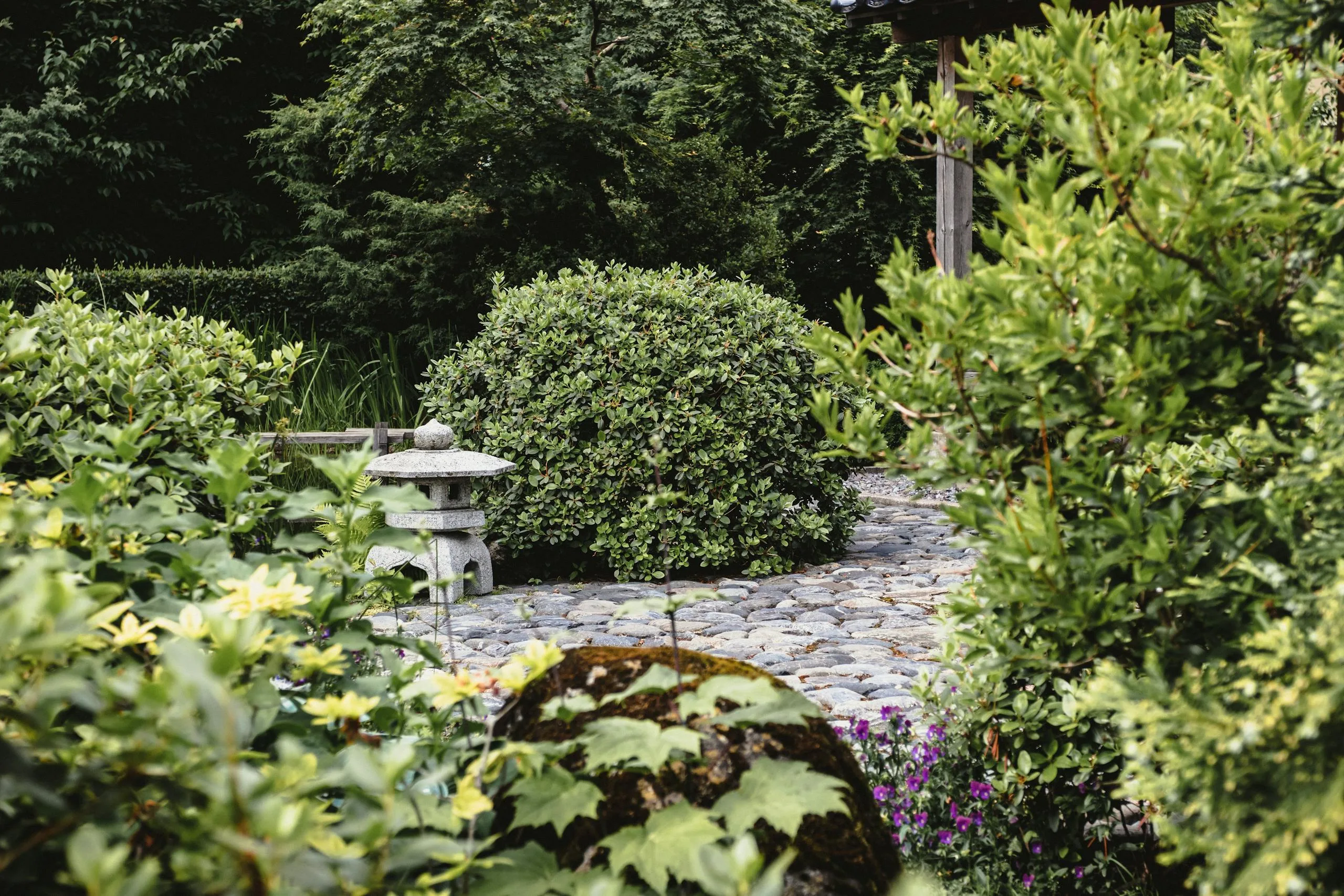 Neatly maintained shrubs and garden greenery